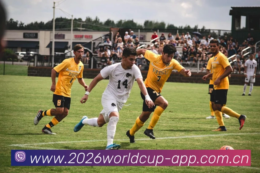 App Interface Preview